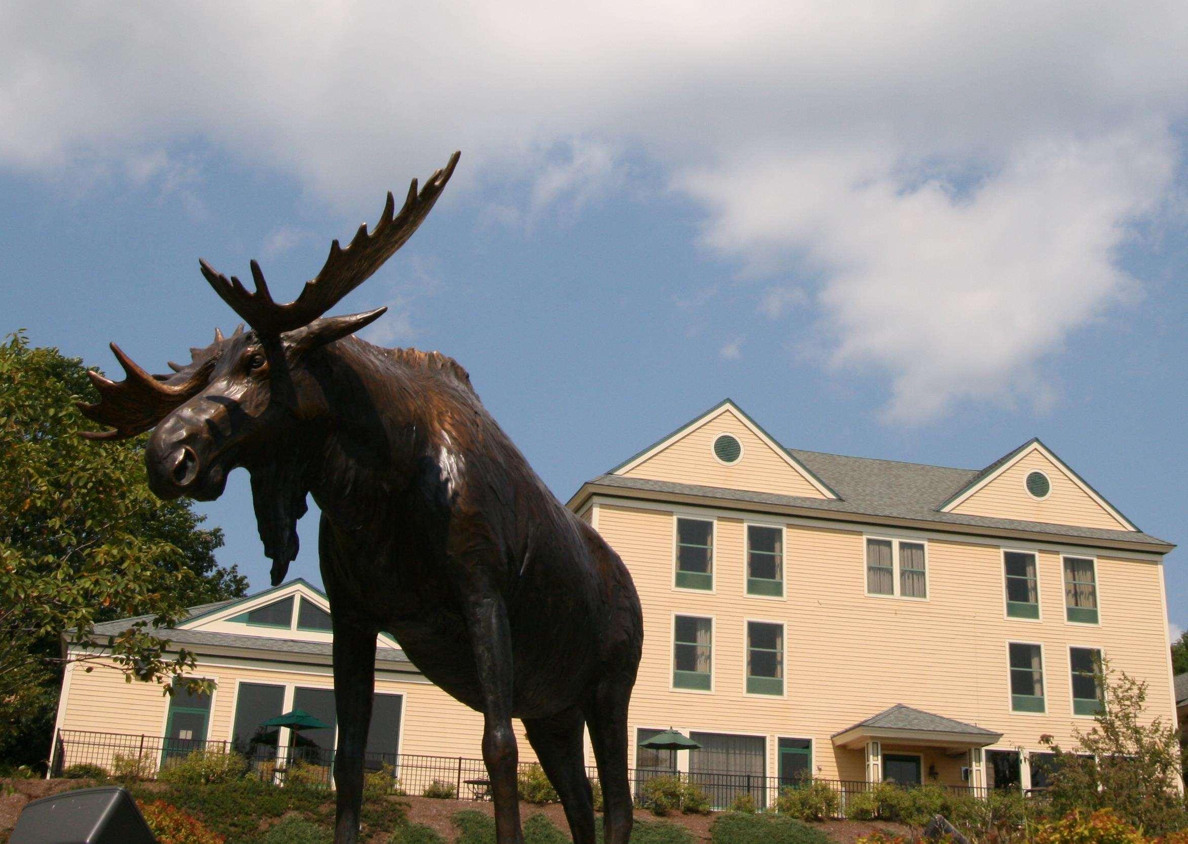 Hampton Inn Freeport/Brunswick Esterno foto
